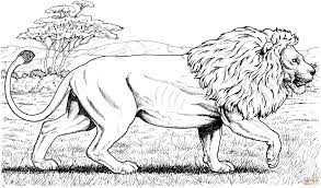Give these printable lion coloring pages to them to experiment with varied colors. Pin By Gaba Machkova On Coloring Animals Lion Coloring Pages Animal Coloring Pages Coloring Pages For Grown Ups