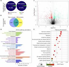 Frontiers Wheel Running Improves Motor Function And Spinal