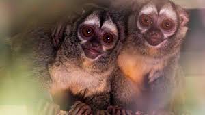 Wendy y la varita de emiliano video she stands as a gran mujer