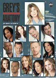 La jeune femme s'efforce de maintenir de bonnes relations avec ses camarades internes, mais dans ce métier difficile la compétition fait rage. Grey S Anatomy Saison 8 En Streaming Vf Serie Complet 1 Seizoenen Film Boeken