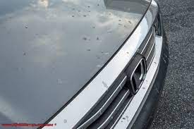 Tree sap can be extremely difficult to remove from your cars paint. How Do I Remove Tree Sap From My Car Ask A Pro Blog