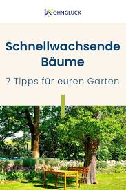 Wenn das haus fertig ist, aber der garten eher leer als grün aussieht, sind schnell wachsende bäume eine gute hilfe auf dem weg zum grünen umfeld. Schnell Wachsende Baume 7 Baumarten Fur Jeden Garten Schnell Wachsende Baume Schneller Wachsen Baum