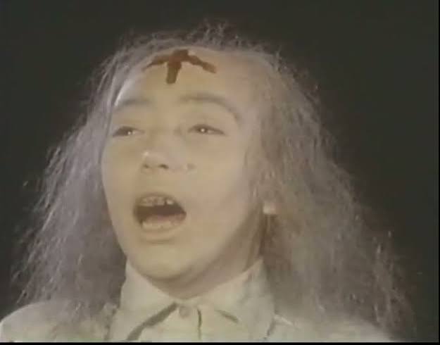 Do Not Anger the… – Demon Witch Child (1975) – The Telltale Mind