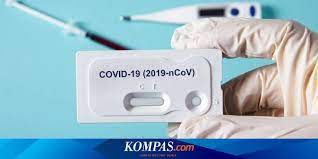 A selection of rapid antigen tests of which member states will mutually recognise the test results for public health measures. Kisaran Harga Rapid Test Antigen Covid 19 Bervariasi Rp 350 000 Hingga Rp 499 000 Halaman All Kompas Com