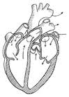 Check spelling or type a new query. 128 Human Body Coloring Pages Free Printable Coloring Pages