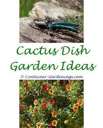 Dog Friendly Garden Designs Ideas Viva Pinata Garden Name Ideas Tips On Gardening Cucum Garden Layout Vegetable Vegetable Garden Tips Diy Container Gardening