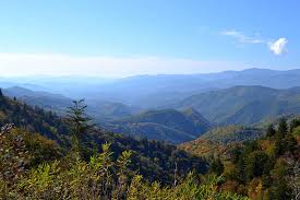 Business directory of north carolina. Pest Control Blue Ridge Wildlife Termite Gilstrap