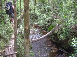 Located around the center of sabah in the sandakan division, it was designated as a conservation area by. Maliau Basin Gilt Als Sabah S Lost World Bike And Tours