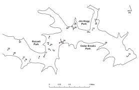 The most popular species caught here are largemouth bass, striped bass, and channel catfish 420 catches are logged on fishbrain. Fish Attractors In Lake Georgetown