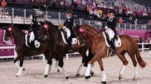 Access official olympic equestrian / dressage sport and athlete records, events, results, photos the new olympic channel brings you news, highlights, exclusive behind the scenes, live events and. Lsikkp7ubal7fm