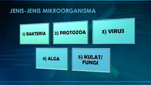 Kuiz membanding perpuluhan tahun 3. Sains Tahun 6 Unit 2 Mikroorganisma