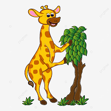 Ada hewan yang jenis makanannya tumbuhan, daging, dan juga pemakan segalanya. Gambar Zirafah Makan Di Savana Zirafah Haiwan Fauna Png Dan Vektor Untuk Muat Turun Percuma