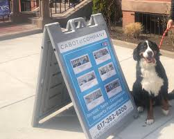Come meet cabot animal shelter's pets 2951 s first st. Boston Apartments That Take Pets And You Can Come Too