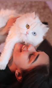 Ginni. Own cat Eisha Singh