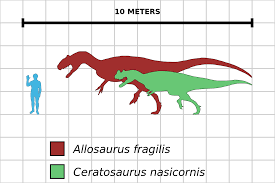 File Allosaurus Ceratosaurus Comparison Chart Svg