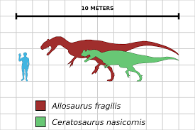 file allosaurus ceratosaurus comparison chart svg