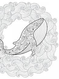 Online coloring pages for kids and parents. Fish Coloring Pages For Adults Unique Coloring Pages Websites Whale Coloring Pages Mandala Coloring Pages Fish Coloring Page