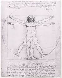 At least since michelangelo, serious artists of the genre have known the value of a clinical study of anatomy. Leonardo Da Vinci Anatomical Studies And Drawings Britannica