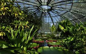 Botanischer Garten Die Schonsten Grunanlagen Der Schweiz