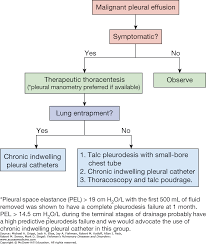 malignant pleural effusions fishmans pulmonary diseases