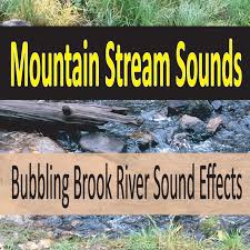 We did not find results for: Mountain Stream Sounds Bubbling Brook River Sound Effects Album By Steven Current Spotify