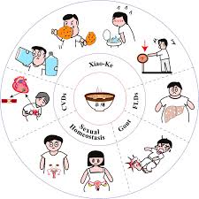 Frontiers | Yao-Shan of traditional Chinese medicine: an old story for  metabolic health