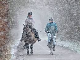 In het westen van het land zal waarschijnlijk de meeste sneeuw vallen, zo'n vijf centimeter wordt daar nu berekend, zegt huizinga. D7cex Teq7 Fem