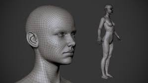 free basemesh by zuka トポロジーの勉強に 女性の人体モデル 男性の頭部モデルが無料ダウンロード可能 トポロジー 人体 トポロジ