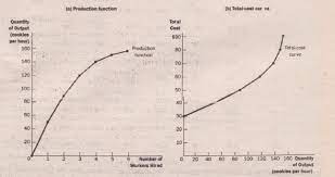 From The Production Function To The Total Cost Curve Economics Assignment Help Economics Homework Economics Project Help