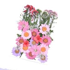 Buy dried flowers and get the best deals at the lowest prices on ebay! Natural Dried Pressed Flowers Mixed Multiple Dried Flower Leaves Petals For Diy Candle Resin Crafts Making Art Floral Decors Buy Natural Dried Pressed Flowers Multiple Dried Flower Leaves Petals Diy Candle Resin Crafts