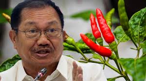 We did not find results for: Expensive Sili In Markets Plant Your Own Says Pinol