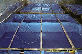 Membuat Kolam Terpal Organic Hcs