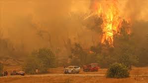 More than 95 areas of study in humanities, sciences and business. Estos Son Los Incendios Naturales Que Devastan Miles De Hectareas En El Mundo