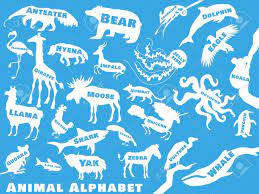 Many foods that begin with the letter z come from outside the united state. Animal Alphabet Poster For Children Animal Silhouettes With Names And Letters Inside Poster Concept From A To Z Vector Illustration Royalty Free Cliparts Vectors And Stock Illustration Image 42015757