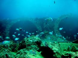 The nearby power station releases warm water into the ocean that attracts sea life to the bay. Kahe Point Beach Park Aka Electric Beach Hi Oahu Hi