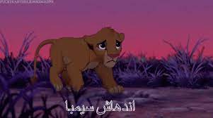 اندهاش سيمبا الاسد الملك الغابة خضة مفاجأة gif simba lionking scar discover share gifs simba lion lion king scar lion