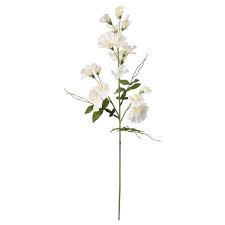 Smycka Fleur Artificielle Pois De Senteur Blanc Ikea Suisse Fleurs Artificielles Pois De Senteur Et Plantes Artificielles