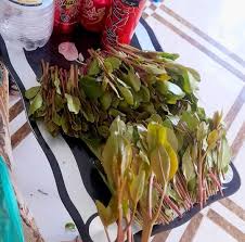 عبودي عبودي @aboood95136201 - Twitter Profile | TwStalker