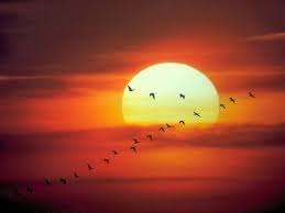 كم عدد ركعات صلاة الشروق. For More Follow Us 7mnet Fine Beautiful Pictures Www 7mnet Com Sunrise Wallpaper Good Morning Images Nature