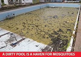 How much does it cost to get rid of mosquitoes in a pool? When Neighbors Are The Cause Of Your Mosquito Problems