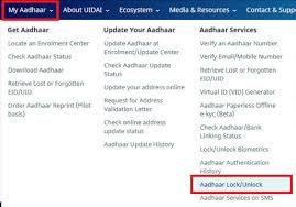 An aadhaar card password is a combination of the first 4 letters of name in capital and the year of birth (yyyy) as password. Lock Aadhaar Number Now You Can Lock Your Aadhaar Biometric Data Online