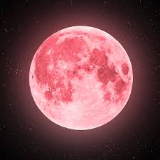 La lune rousse, paris, france. Une Super Lune Rose Va Eclairer Le Ciel Le 27 Avril