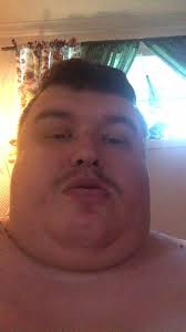 Slangen Fra Harstad Sommer