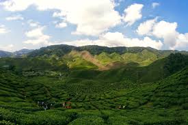 We did not find results for: My Family At Bharat Tea Cameron Highlands