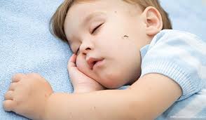 Bebek Cocuk Basliklari Annesinin Melegi Cocuk Sagligi Bebek Saglik