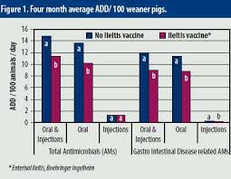 Pigprogress Vaccination Significantly Reduces Use Of