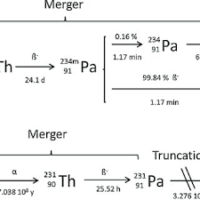 Cobalt 60 is not used in medicine as tracer. The First Decays Of The Decay Chain Of Uranium 235 And 238 The Doses Download Scientific Diagram