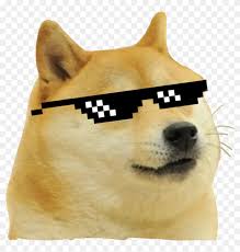 The meme is based on a 2010 photograph, and became popular in late 2013, being name. Doge Meme Png Thug Life Dog Png Transparent Png 1024x1027 6900252 Pngfind