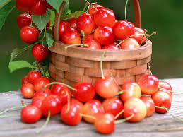 Maybe you would like to learn more about one of these? Kerasia Oi Kalyteroi Symmaxoi Soy Kai Gia To Adynatisma Madamelefo