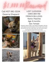 I recently moved to Clay Center a couple months ago from out of state. My  current car insurance company doesn't cover the state of Kansas. Which car  insurance company do you recommend